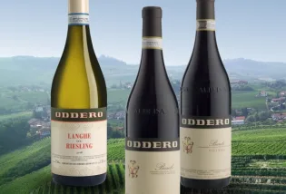 Il Ponte Oddero Wine Dinner Web feature