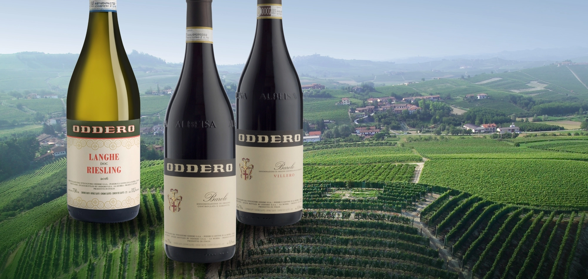 Il Ponte Oddero Wine Dinner Web banner