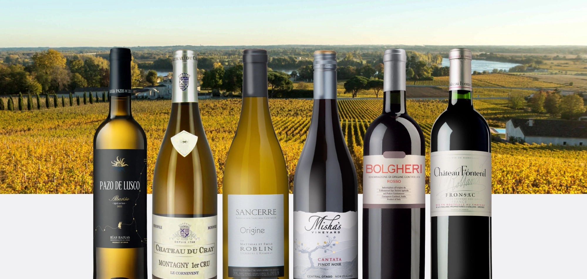 WOM Feb26 Web banner