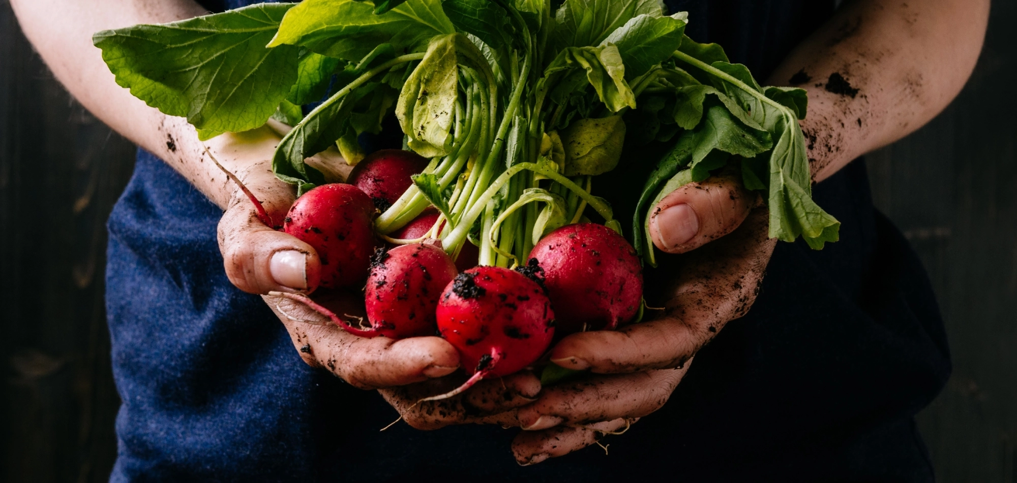 Grill Room Chef Recom Feb26 Web banner