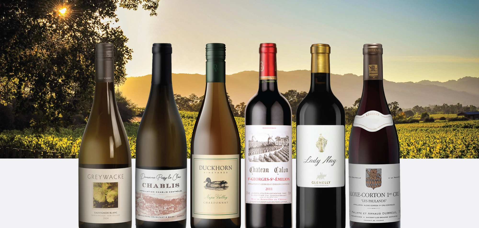 WOM Mar26 Web banner