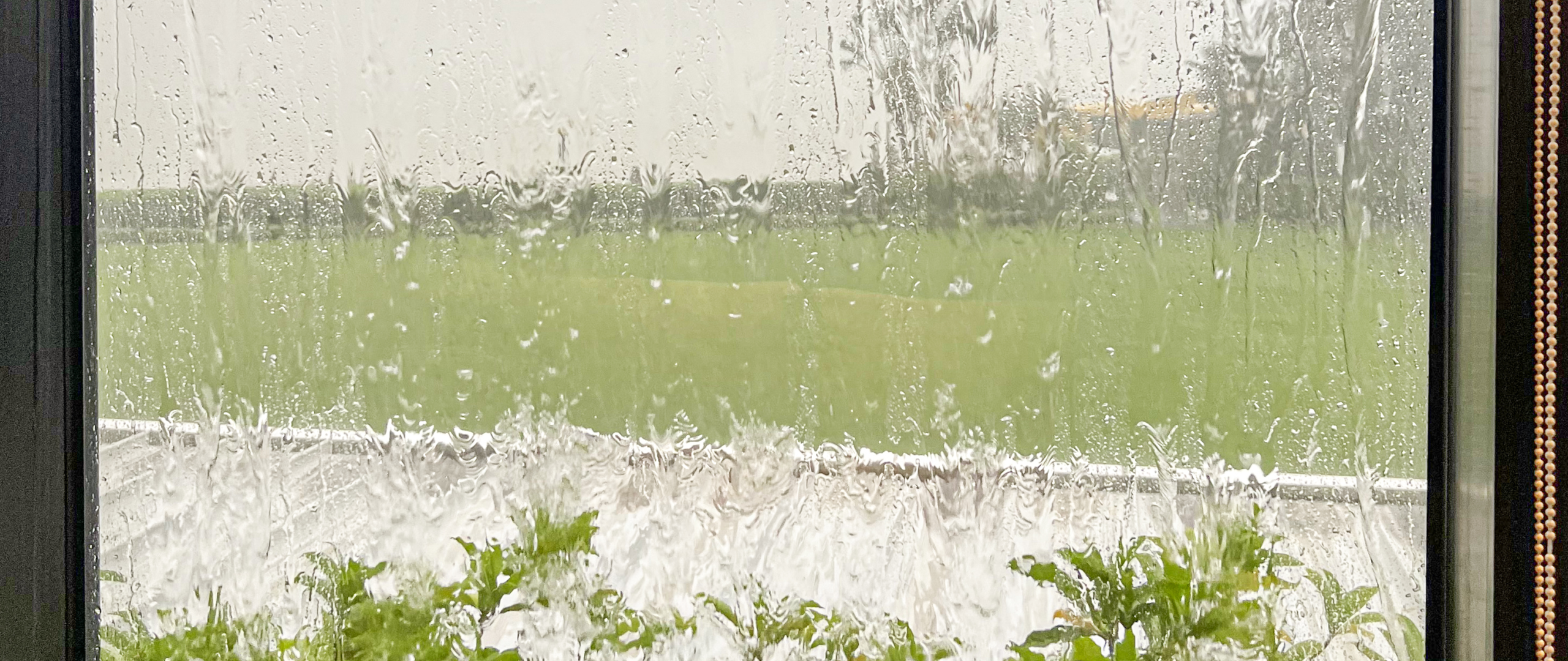 Inclement Weather Policy